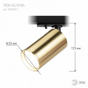Светильник на штанге Эра  TR39-GU10 BS в Тюмени - tumen.ok-mebel.com | фото 6