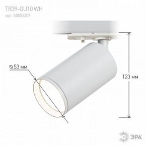 Светильник на штанге Эра  TR39-GU10 WH в Тюмени - tumen.ok-mebel.com | фото 7