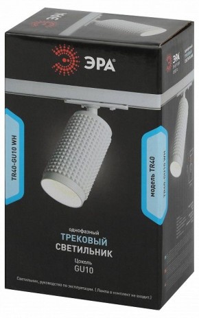 Светильник на штанге Эра  TR40-GU10 WH в Тюмени - tumen.ok-mebel.com | фото 7
