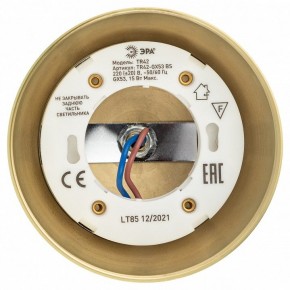 Светильник на штанге Эра  TR42-GX53 BS в Тюмени - tumen.ok-mebel.com | фото 5