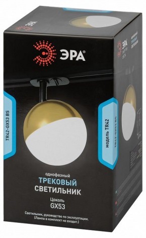 Светильник на штанге Эра  TR42-GX53 BS в Тюмени - tumen.ok-mebel.com | фото 6