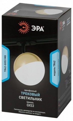 Светильник на штанге Эра  TR42-GX53 MG в Тюмени - tumen.ok-mebel.com | фото 6