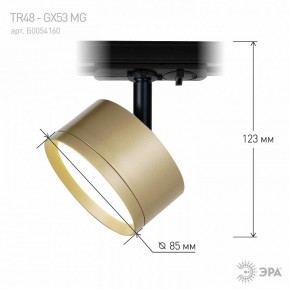 Светильник на штанге Эра  TR48 - GX53 MG в Тюмени - tumen.ok-mebel.com | фото 4