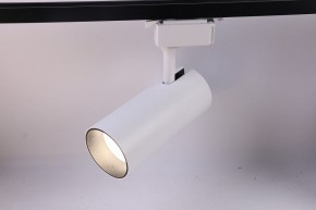 Светильник на штанге Эра  TR5-30 COB WH в Тюмени - tumen.ok-mebel.com | фото 2