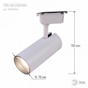Светильник на штанге Эра  TR5-30 COB WH в Тюмени - tumen.ok-mebel.com | фото 6