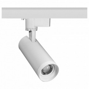 Светильник на штанге Эра  TR59 - 2030 WH в Тюмени - tumen.ok-mebel.com | фото