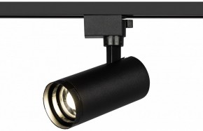 Светильник на штанге Эра  TR59 - 2040 BK в Тюмени - tumen.ok-mebel.com | фото 5