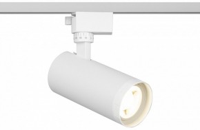 Светильник на штанге Эра  TR59 - 2040 WH в Тюмени - tumen.ok-mebel.com | фото