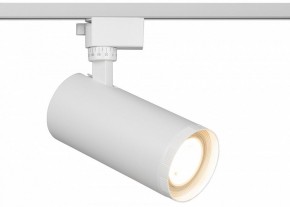 Светильник на штанге Эра  TR59 - 3030 WH в Тюмени - tumen.ok-mebel.com | фото