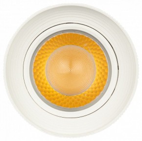 Светильник на штанге Эра  TR59 - 3030 WH в Тюмени - tumen.ok-mebel.com | фото 3