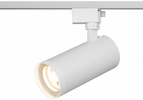 Светильник на штанге Эра  TR59 - 3030 WH в Тюмени - tumen.ok-mebel.com | фото 5
