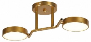 Светильник на штанге Escada Starlight 10273/2LED в Тюмени - tumen.ok-mebel.com | фото