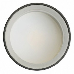 Светильник на штанге Feron ML1001 51371 в Тюмени - tumen.ok-mebel.com | фото 4