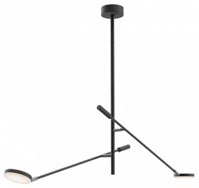 Светильник на штанге Maytoni Fad MOD070CL-L15B3K1 в Тюмени - tumen.ok-mebel.com | фото