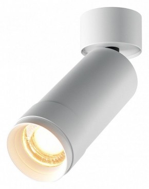 Светильник на штанге Maytoni Focus Zoom C055CL-L12W2.7K-Z-W в Тюмени - tumen.ok-mebel.com | фото
