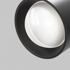 Светильник на штанге Maytoni Lens TR217-2-15W4K-B в Тюмени - tumen.ok-mebel.com | фото 10