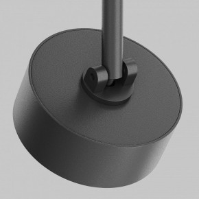 Светильник на штанге Maytoni Lens TR217-2-15W4K-B в Тюмени - tumen.ok-mebel.com | фото 9