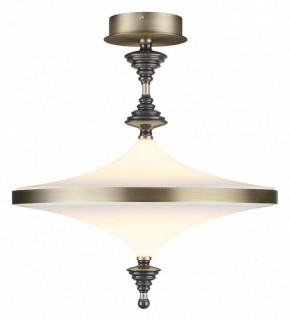 Светильник на штанге Odeon Light Ula 5404/43CL в Тюмени - tumen.ok-mebel.com | фото 2