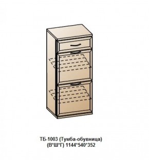 ТБ-1003 (Тумба-обувница) в Тюмени - tumen.ok-mebel.com | фото