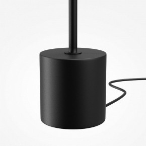 Торшер Maytoni Evolution MOD396FL-L10W3K в Тюмени - tumen.ok-mebel.com | фото 6