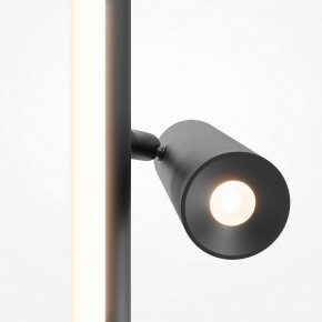 Торшер Maytoni Thin MOD395FL-L28B3K в Тюмени - tumen.ok-mebel.com | фото 6
