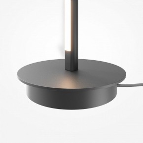 Торшер Maytoni Thin MOD395FL-L28B3K в Тюмени - tumen.ok-mebel.com | фото 8