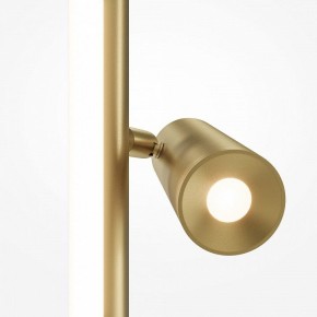 Торшер Maytoni Thin MOD395FL-L28BS3K в Тюмени - tumen.ok-mebel.com | фото 5