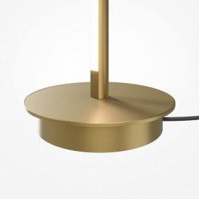 Торшер Maytoni Thin MOD395FL-L28BS3K в Тюмени - tumen.ok-mebel.com | фото 7