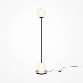 Торшер Maytoni Twins MOD427FL-L20B3K в Тюмени - tumen.ok-mebel.com | фото 2