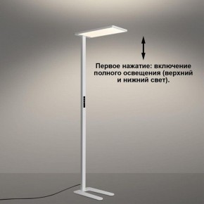 Торшер Novotech STUDI 359545 в Тюмени - tumen.ok-mebel.com | фото 5