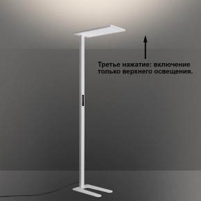 Торшер Novotech STUDI 359545 в Тюмени - tumen.ok-mebel.com | фото 6