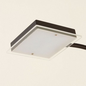 Торшер с подсветкой Citilux Харди CL802015 в Тюмени - tumen.ok-mebel.com | фото 14