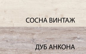 Тумба RTV 1D2SN, MONAKO, цвет Сосна винтаж/дуб анкона в Тюмени - tumen.ok-mebel.com | фото 3