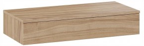 Тумбочка навесная ТД-102.08.02 в Тюмени - tumen.ok-mebel.com | фото 3