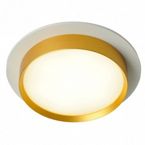 Встраиваемый светильник Feron DL507 51354 в Тюмени - tumen.ok-mebel.com | фото 3