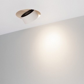 Встраиваемый светильник на штанге Arlight PLURIO 038065 в Тюмени - tumen.ok-mebel.com | фото 2