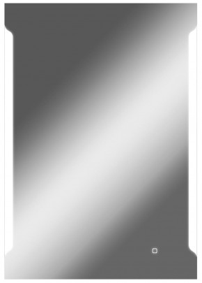 Зеркало Оттава 1000х700 с подсветкой Домино (GL7028Z) в Тюмени - tumen.ok-mebel.com | фото